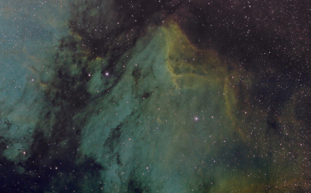 Pelican nebula