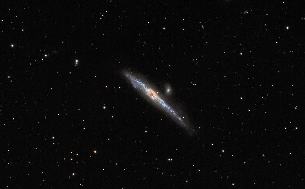 NGC 4631 (Whale Galaxy)